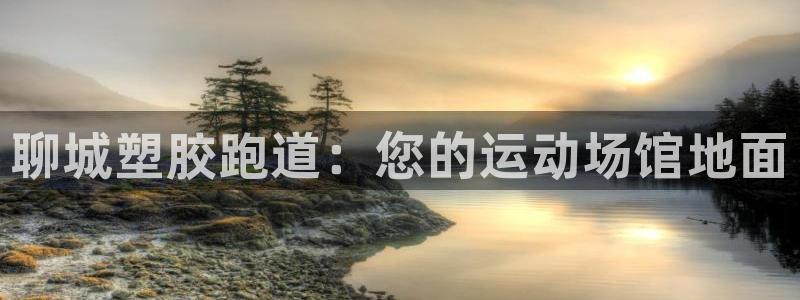 红足1世官网：聊城塑胶跑道：您的运动场馆地面