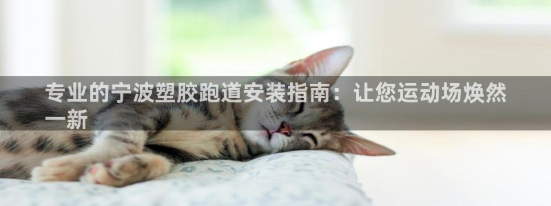 红足一1世手机版赛果：专业的宁波塑胶跑道安装指南：让您运动场焕然
一新