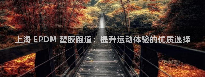 红足一一世：上海 EPDM 塑胶跑道：提升运动体验的优质选择