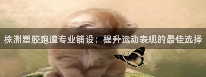 红足一1世官网：株洲塑胶跑道专业铺设：提升运动表现的最佳选择