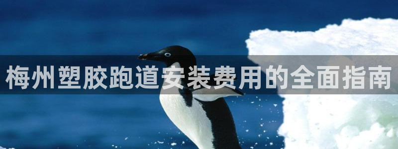 333814红·足一世比分：梅州塑胶跑道安装费用的全面指南