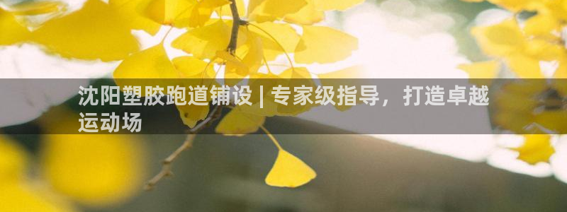 红足1世1站2站管理网：沈阳塑胶跑道铺设 | 专家级指导，打造卓越
运动场