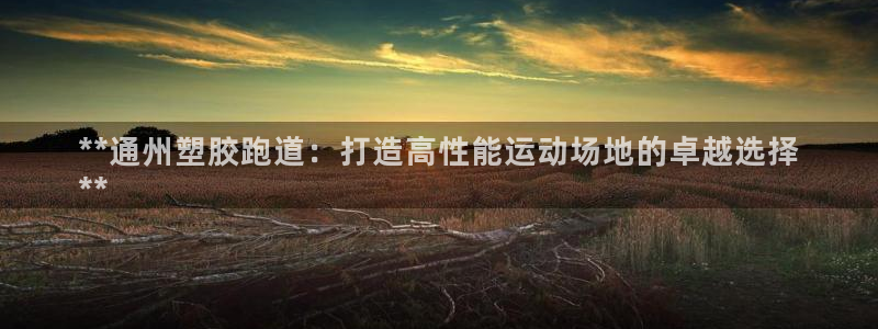百度红足一1世：**通州塑胶跑道：打造高性能运动场地的卓越选择
**