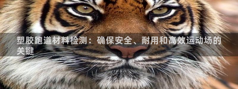 红足1世足球比分 localhost：塑胶跑道材料检测：确保安全、耐用和高效运动场的
关键