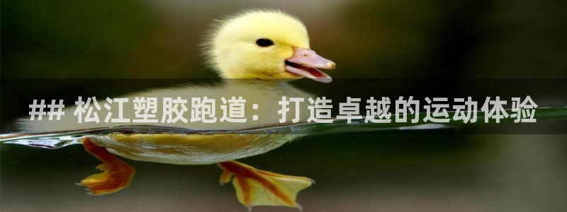 红足一1世666814最新结果：## 松江塑胶跑道：打造卓越的运动体验