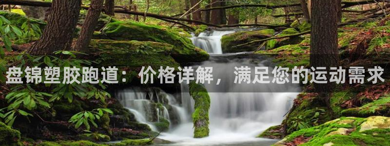 红足体育网：盘锦塑胶跑道：价格详解，满足您的运动需求