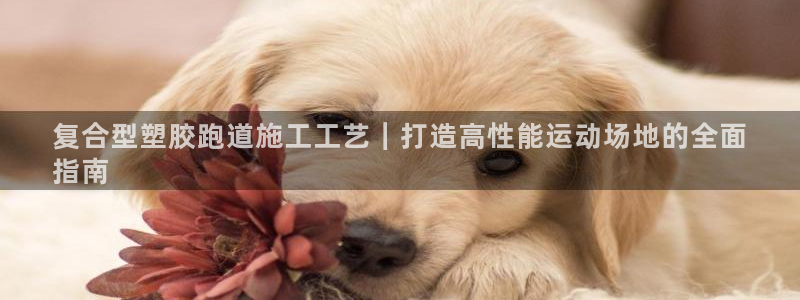 百度红足一1使用说明：复合型塑胶跑道施工工艺｜打造高性能运动场地的全面
指南