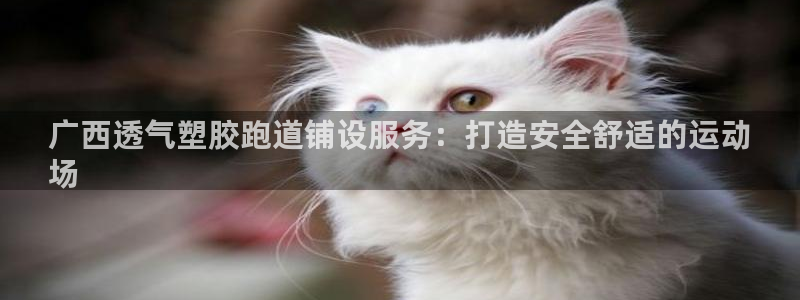 4633333开奖结果4176一点红：广西透气塑胶跑道铺设服务：打造安全舒适的运动
场