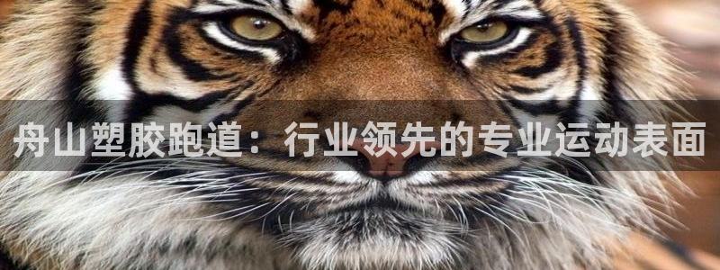 红足一球：舟山塑胶跑道：行业领先的专业运动表面