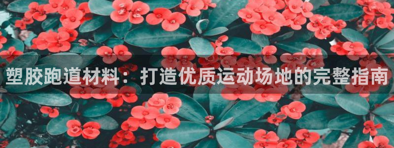 红足一生世：塑胶跑道材料：打造优质运动场地的完整指南