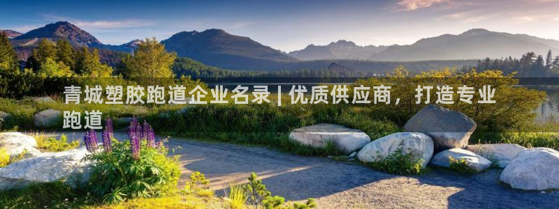 77814红足1世：青城塑胶跑道企业名录 | 优质供应商，打造专业
跑道