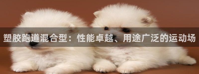 百度红足一1世：塑胶跑道混合型：性能卓越、用途广泛的运动场