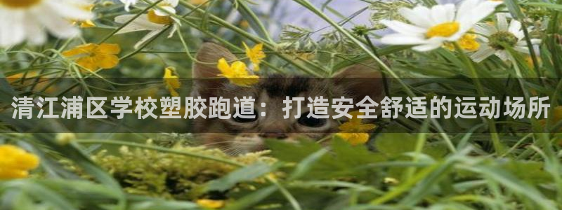 777814红·足一世：清江浦区学校塑胶跑道：打造安全舒适的运动场所