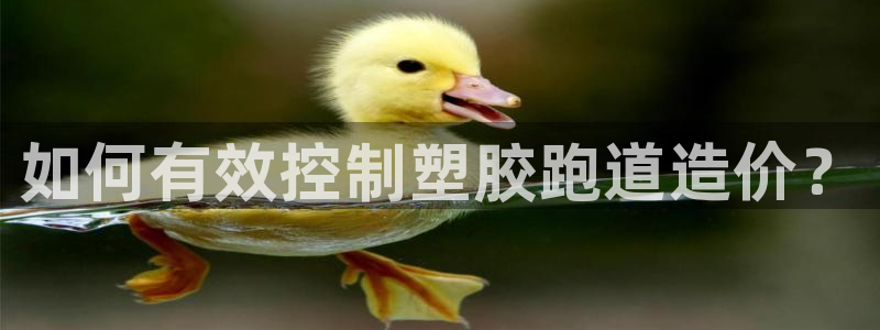 777814红·足一世：如何有效控制塑胶跑道造价？