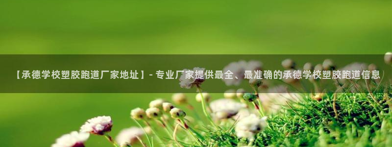 红足体育网：【承德学校塑胶跑道厂家地址】- 专业厂家提供最全、最准确的承德学校塑胶跑道信息
