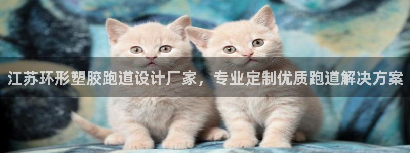 红足一1世平台：江苏环形塑胶跑道设计厂家，专业定制优质跑道解决方案