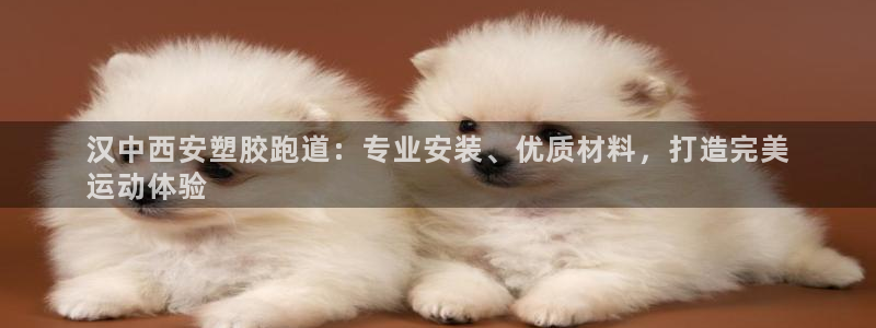 红足一1世比分球探：汉中西安塑胶跑道：专业安装、优质材料，打造完美
运动体验