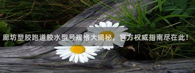 红足一1世即时比分：廊坊塑胶跑道胶水型号规格大揭秘，官方权威指南尽在此！