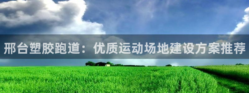 百度红足一1是什么样子的：邢台塑胶跑道：优质运动场地建设方案推荐