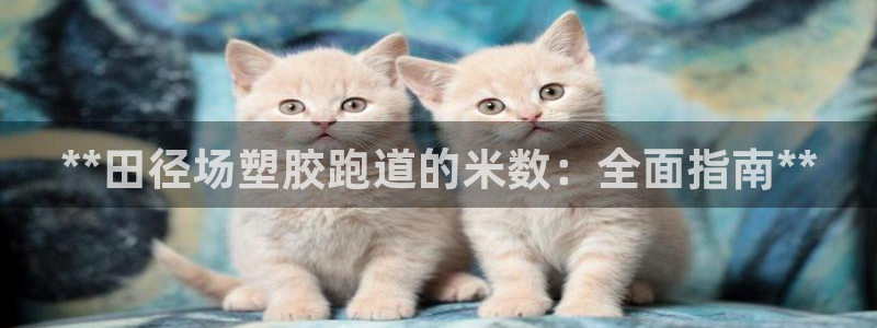 红足一一世：**田径场塑胶跑道的米数：全面指南**
