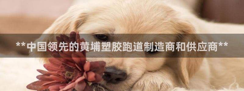 红足1世足球网址大全：**中国领先的黄埔塑胶跑道制造商和供应商**