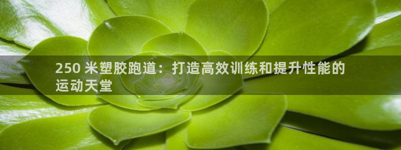 红足1世1站2站管理网：250 米塑胶跑道：打造高效训练和提升性能的
运动天堂