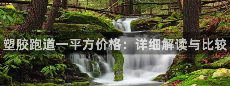 红足1世足球：塑胶跑道一平方价格：详细解读与比较