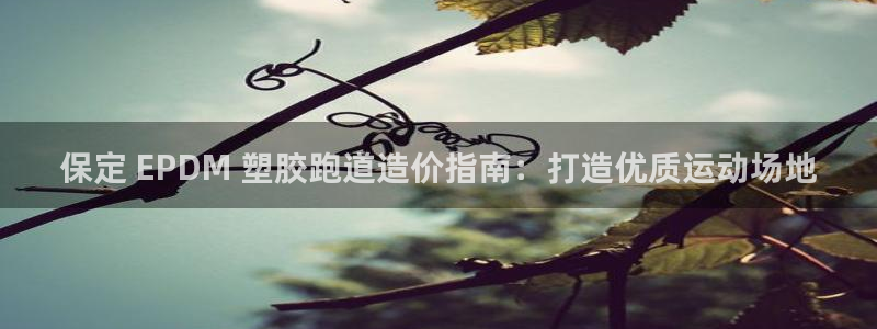 红足一生世：保定 EPDM 塑胶跑道造价指南：打造优质运动场地