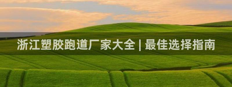 红足一1世皇冠登录：浙江塑胶跑道厂家大全 | 最佳选择指南