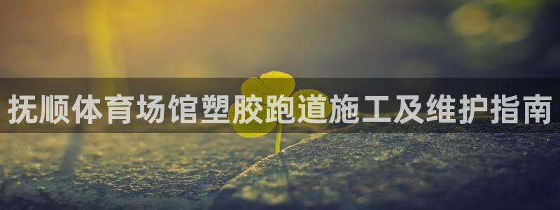 红足一1世比分网：抚顺体育场馆塑胶跑道施工及维护指南