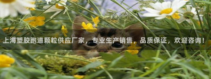 红足1世官网：上海塑胶跑道颗粒供应厂家，专业生产销售，品质保证，欢迎咨询！
