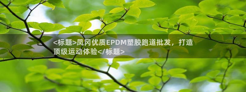666814红·足一世比分：<标题>凤冈优质EPDM塑胶跑道批发，打造
顶级运动体验</标题>