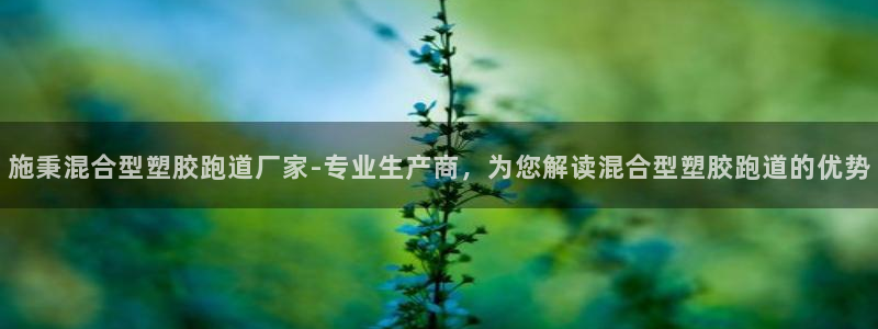 红足一1世官网比分：施秉混合型塑胶跑道厂家-专业生产商，为您解读混合型塑胶跑道的优势