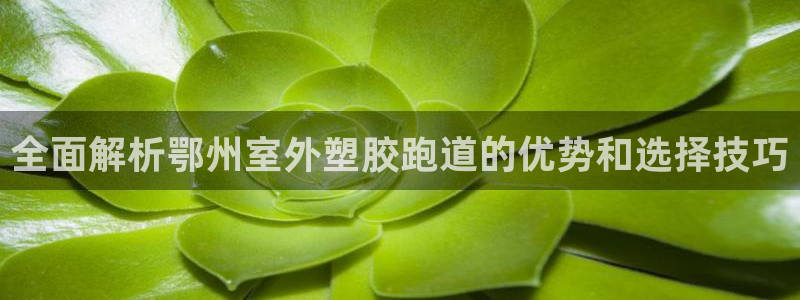 红足1世足球：全面解析鄂州室外塑胶跑道的优势和选择技巧