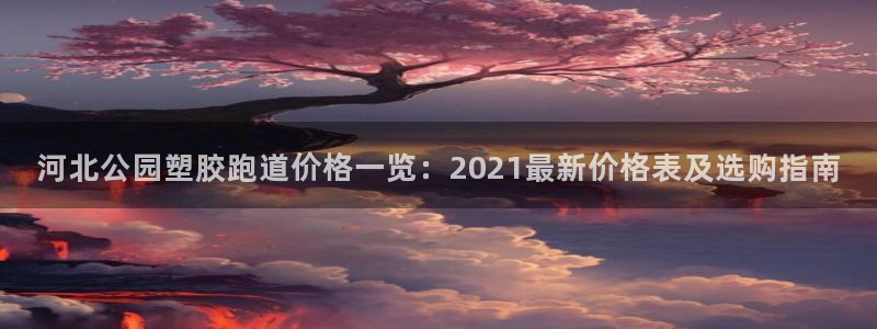 红足1世官网：河北公园塑胶跑道价格一览：2021最新价格表及选购指南