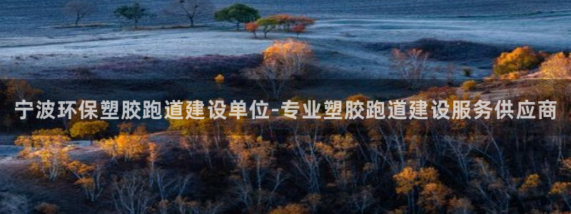 红足1世足球比分预测：宁波环保塑胶跑道建设单位-专业塑胶跑道建设服务供应商