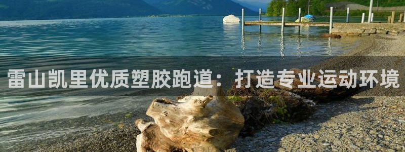 红足一一世足球网开奖记录：雷山凯里优质塑胶跑道：打造专业运动环境