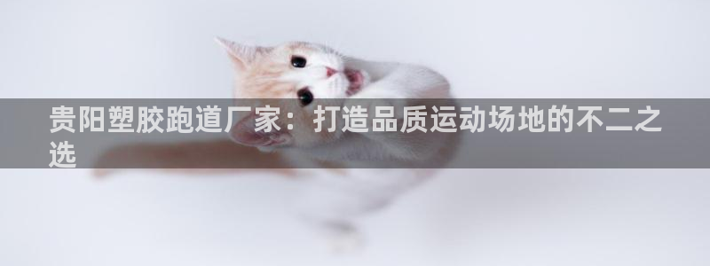 红足一1世皇冠：贵阳塑胶跑道厂家：打造品质运动场地的不二之
选
