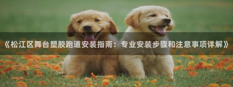 红足一1世皇冠