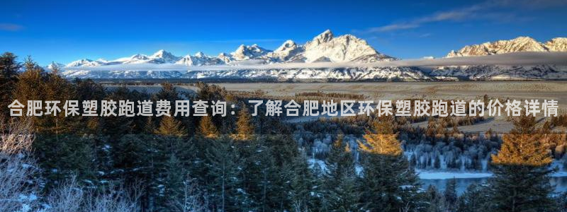 红足一1世开奖记录：合肥环保塑胶跑道费用查询：了解合肥地区环保塑胶跑道的价格详情