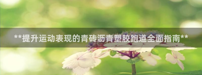红足一球：**提升运动表现的青砖沥青塑胶跑道全面指南**