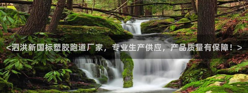 红世一足球比分：<泗洪新国标塑胶跑道厂家，专业生产供应，产品质量有保障！>