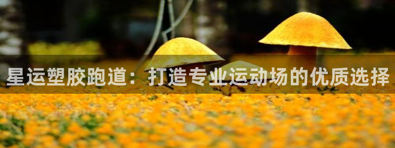 百度红足一1是什么样子的：星运塑胶跑道：打造专业运动场的优质选择