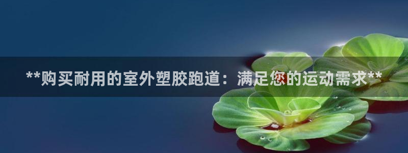 红足一1世皇冠：**购买耐用的室外塑胶跑道：满足您的运动需求**
