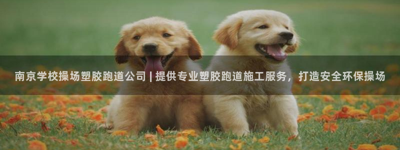 百度红足一1是干什么的：南京学校操场塑胶跑道公司 | 提供专业塑胶跑道施工服务，打造安全环保操场