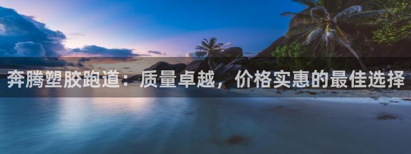 百度红足一1是干什么的：奔腾塑胶跑道：质量卓越，价格实惠的最佳选择