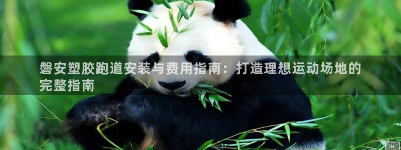 红足1世手机版下载：磐安塑胶跑道安装与费用指南：打造理想运动场地的
完整指南