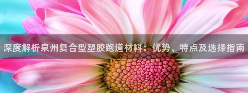 红足1世足球网址大全：深度解析泉州复合型塑胶跑道材料：优势、特点及选择指南