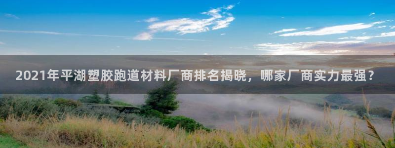 百度红足一1视频在线观看：2021年平湖塑胶跑道材料厂商排名揭晓，哪家厂商实力最强？