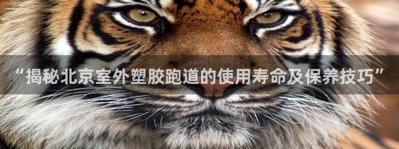 4633333开奖结果4176一点红